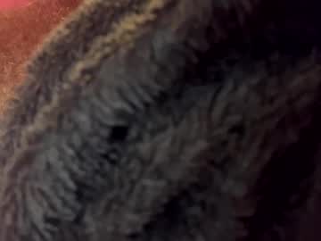 Seeshaun47 October 24, 2025 Chaturbate stream image