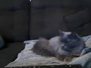 Aadamss October 25, 2025 Chaturbate stream image