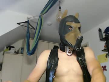 Chrisdan_ October 26, 2025 Chaturbate stream image