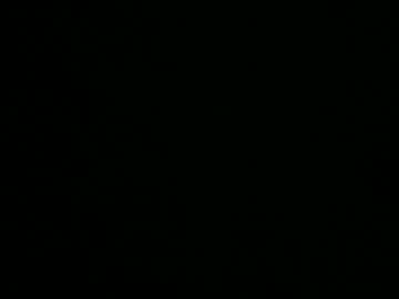 Lacicogna October 27, 2025 Chaturbate stream image