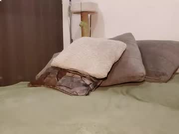 Napalony086 October 30, 2025 Chaturbate stream image