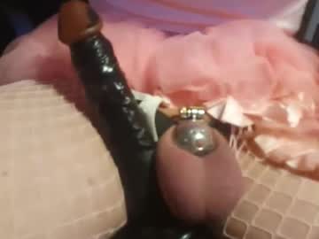Sissy4bbc4ever October 31, 2025 Chaturbate stream image