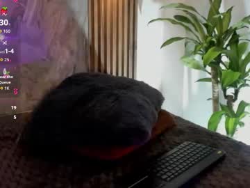 Melodylanee October 31, 2025 Chaturbate stream image