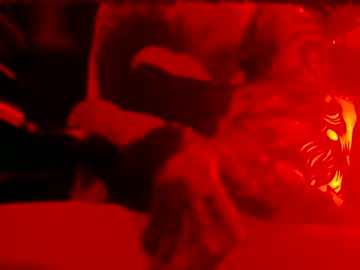 Feelinghardup November 03, 2025 Chaturbate stream image