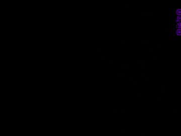 Bermudatrait November 05, 2025 Chaturbate stream image