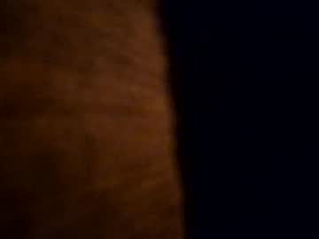 Cabox November 05, 2025 Chaturbate stream image