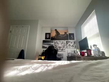 Bobbyjones88034 November 06, 2025 Chaturbate stream image
