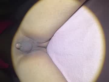 Smallarabi November 07, 2025 Chaturbate stream image
