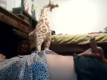 Djbigfish24 November 09, 2025 Chaturbate stream image