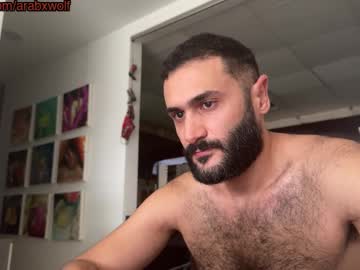 Arabhairy90 November 09, 2025 Chaturbate stream image