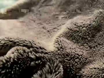 Aliosis1 November 10, 2025 Chaturbate stream image