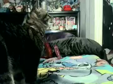 Reggieroux November 10, 2025 Chaturbate stream image