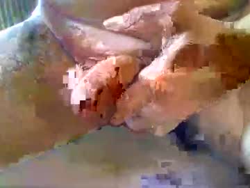 Girafsnoop November 11, 2025 Chaturbate stream image