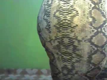 Goddessebon November 11, 2025 Chaturbate stream image