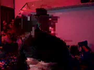 Alvisblue November 14, 2025 Chaturbate stream image