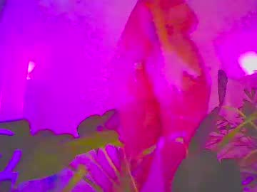 Vixenkittenxo November 15, 2025 Chaturbate stream image