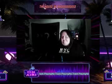 Goooooooose stream photo from November 19, 2025