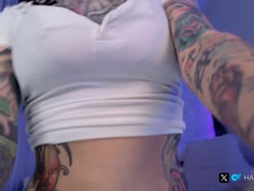 Harliequinnx stream photo from November 19, 2025