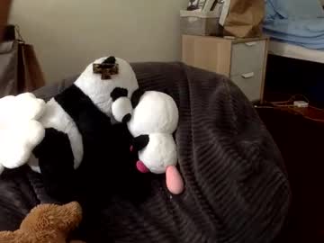 Cinnabun99 November 20, 2025 Chaturbate stream image
