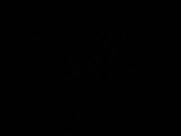 Nelielg November 22, 2025 Chaturbate stream image