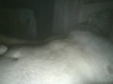 Tallicas2000 November 22, 2025 Chaturbate stream image