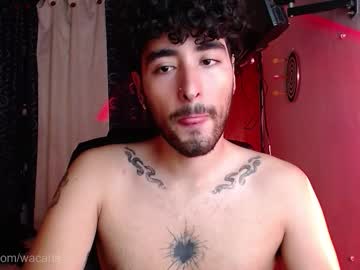 Wacarias November 22, 2025 Chaturbate stream image