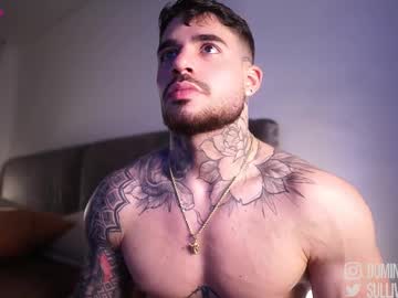 Dominic_Sullivan1 November 23, 2025 Chaturbate stream image