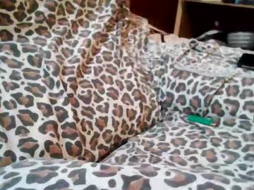 Wilditalian November 26, 2025 Chaturbate stream image