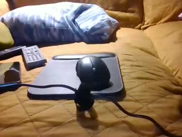 Rank80 November 26, 2025 Chaturbate stream image