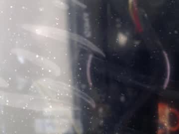 Sweet_Poison_666 November 26, 2025 Chaturbate stream image