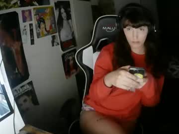 23trans December 02, 2025 Chaturbate stream image