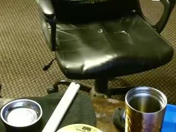 Punkypapi December 02, 2025 Chaturbate stream image