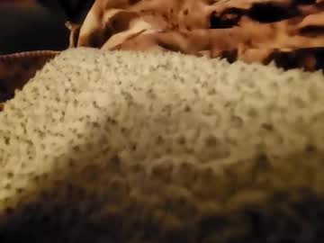 Tmk003k December 02, 2025 Chaturbate stream image