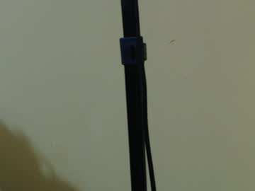 Amazinerika December 03, 2025 Chaturbate stream image