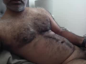 Wildhungry December 04, 2025 Chaturbate stream image