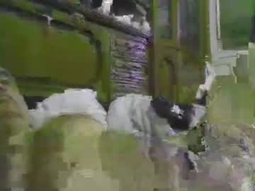 A203530 December 04, 2025 Chaturbate stream image
