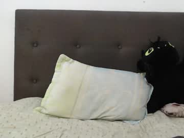 Andy_Bunny_Lover December 05, 2025 Chaturbate stream image