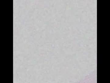 Arseisnice December 05, 2025 Chaturbate stream image