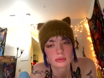 Cactiwandering December 06, 2025 Chaturbate stream image
