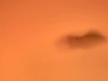 Protecbuzz December 06, 2025 Chaturbate stream image