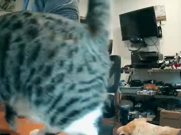 Weseeyouwatching December 08, 2025 Chaturbate stream image