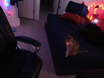 Greyfox311 December 09, 2025 Chaturbate stream image