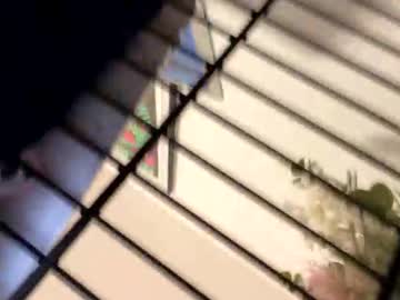 Silvester_Smallone December 09, 2025 Chaturbate stream image