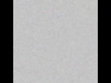 Greatwhite_Ninja December 10, 2025 Chaturbate stream image