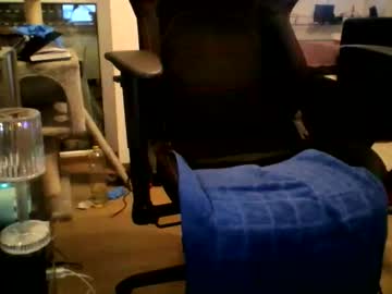 Bodogallen2 December 11, 2025 Chaturbate stream image