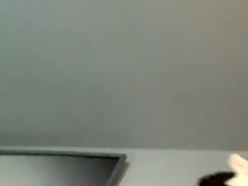 Rogerbenid81 December 11, 2025 Chaturbate stream image