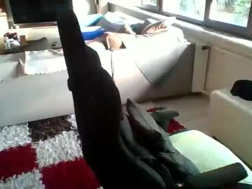 Thrthrd December 13, 2025 Chaturbate stream image
