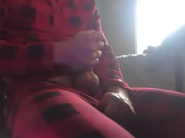 Quinsanre December 14, 2025 Chaturbate stream image