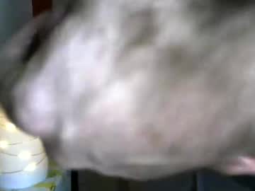 Abercrombieguy22 December 15, 2025 Chaturbate stream image