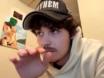 Yungstudbev stream photo from December 15, 2025